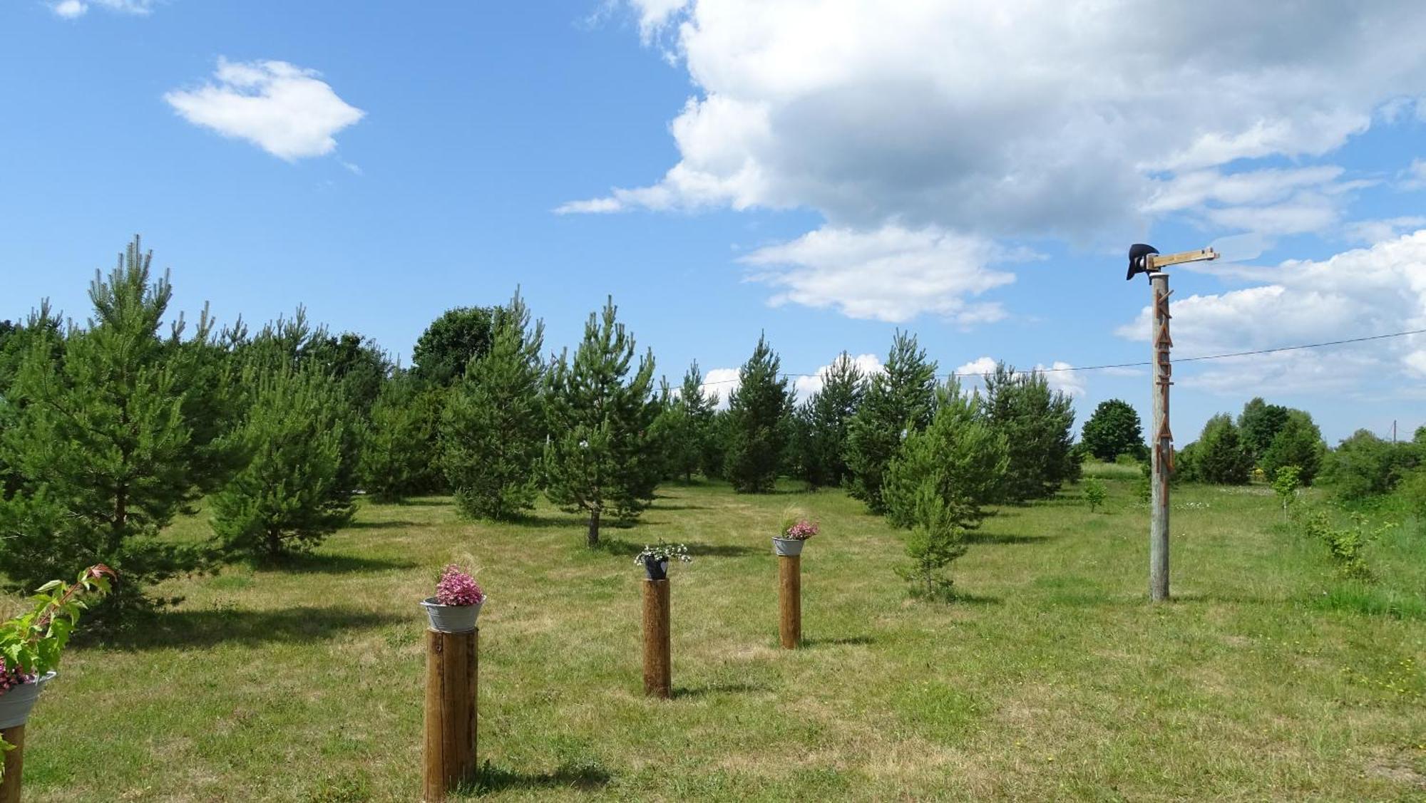 Kastani Camping Haapsalu Zewnętrze zdjęcie